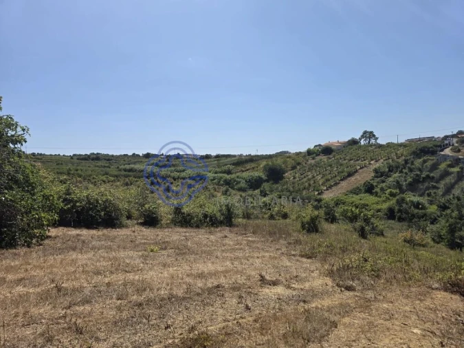 Terreno para Venda em Usseira Foto 28