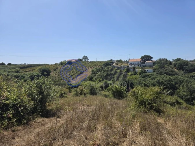 Terreno para Venda em Usseira Foto 23