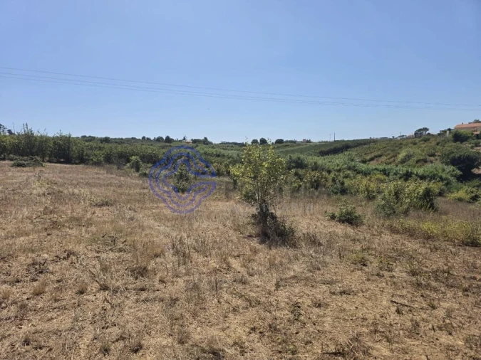 Terreno para Venda em Usseira Foto 13