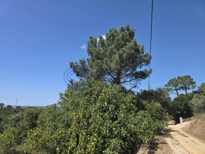 Terreno para Venda em Usseira Foto 30