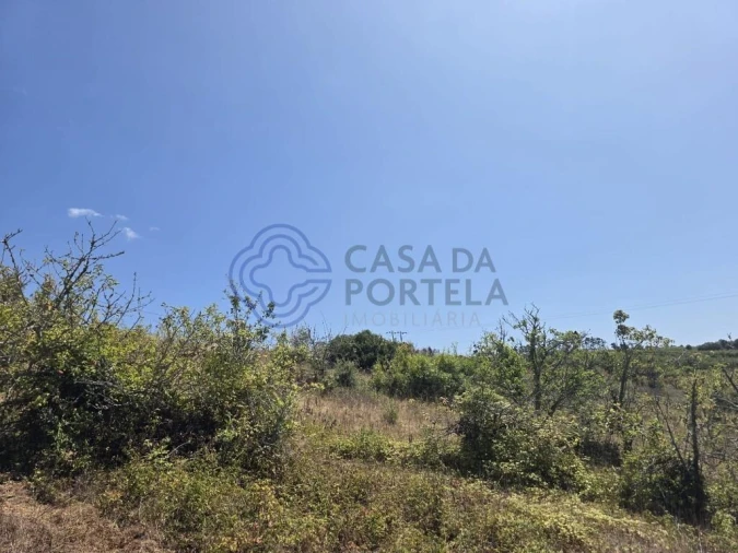 Terreno para Venda em Usseira Foto 20