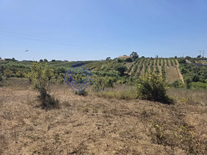 Terreno para Venda em Usseira Foto 26