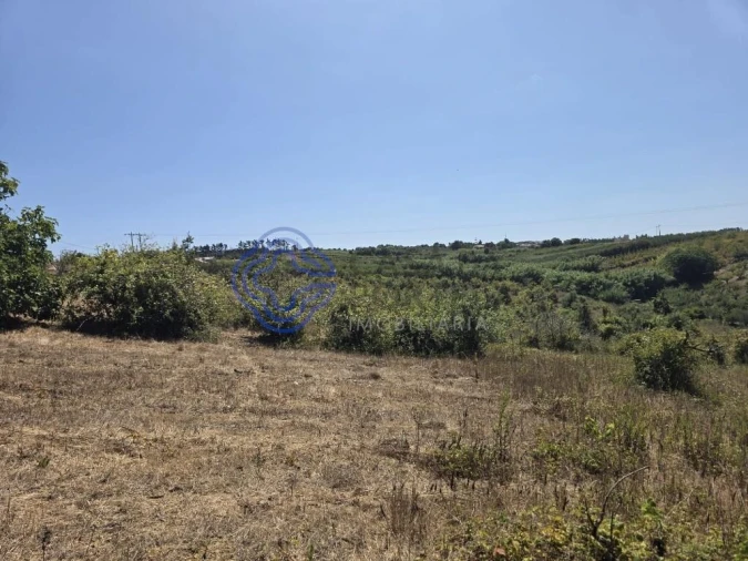 Terreno para Venda em Usseira Foto 25