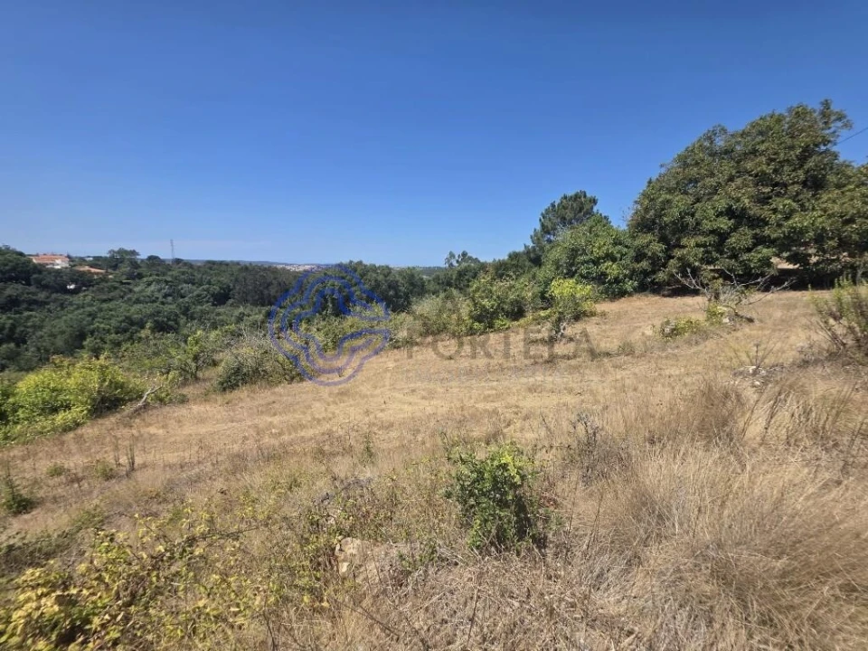 Terreno para Venda em Usseira Foto 6