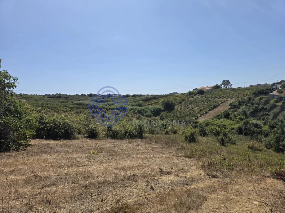 Terreno para Venda em Usseira Foto 28