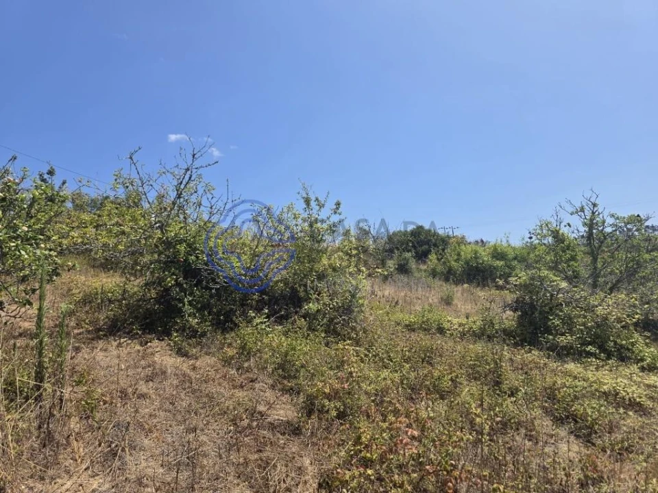 Terreno para Venda em Usseira Foto 21