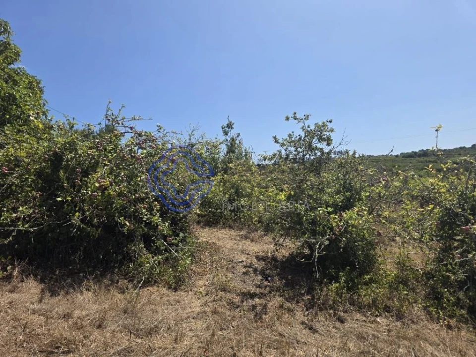 Terreno para Venda em Usseira Foto 24