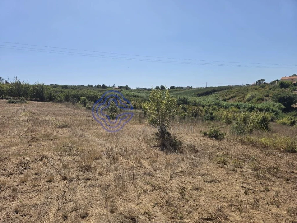 Terreno para Venda em Usseira Foto 13