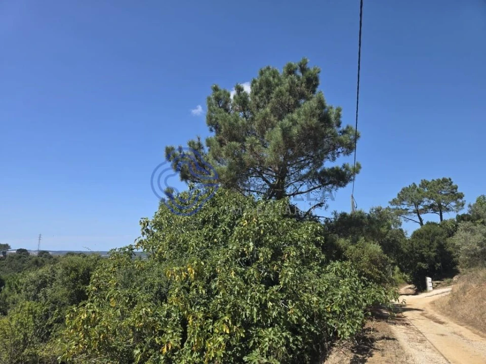 Terreno para Venda em Usseira Foto 30