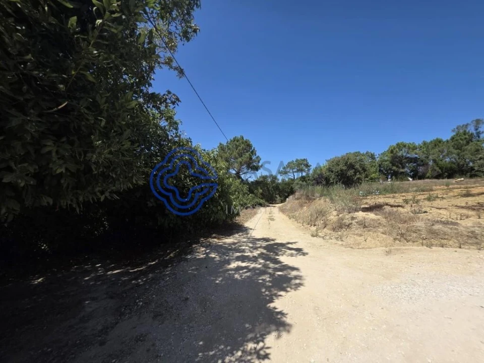 Terreno para Venda em Usseira Foto 4