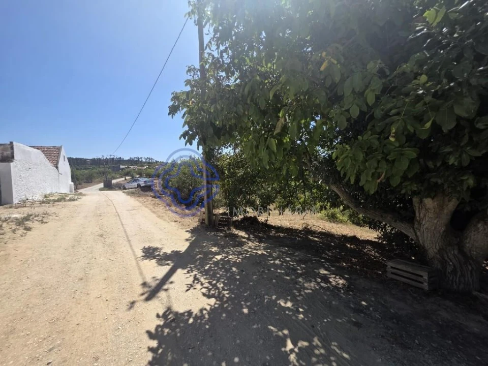 Terreno para Venda em Usseira Foto 2