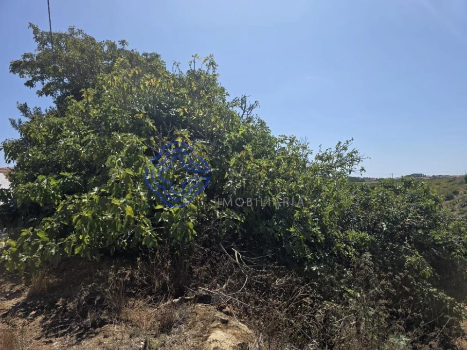 Terreno para Venda em Usseira Foto 29