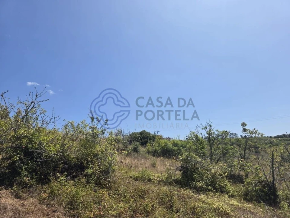 Terreno para Venda em Usseira Foto 20