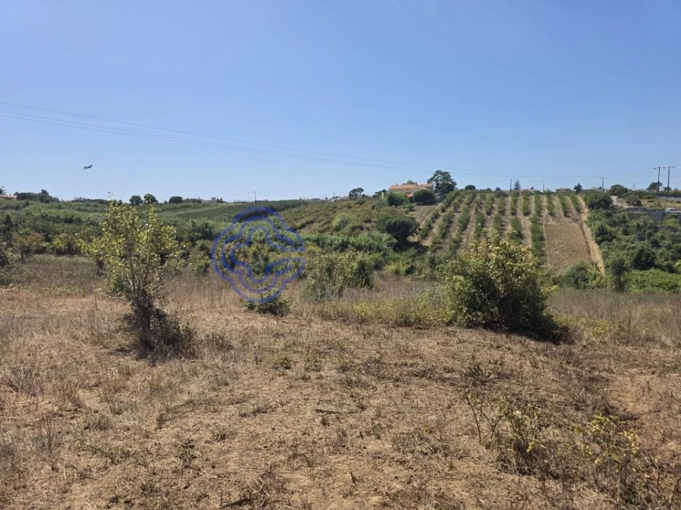 Terreno para Venda em Usseira Foto 26