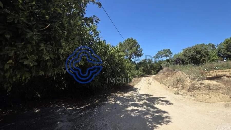 Terreno para Venda em Usseira