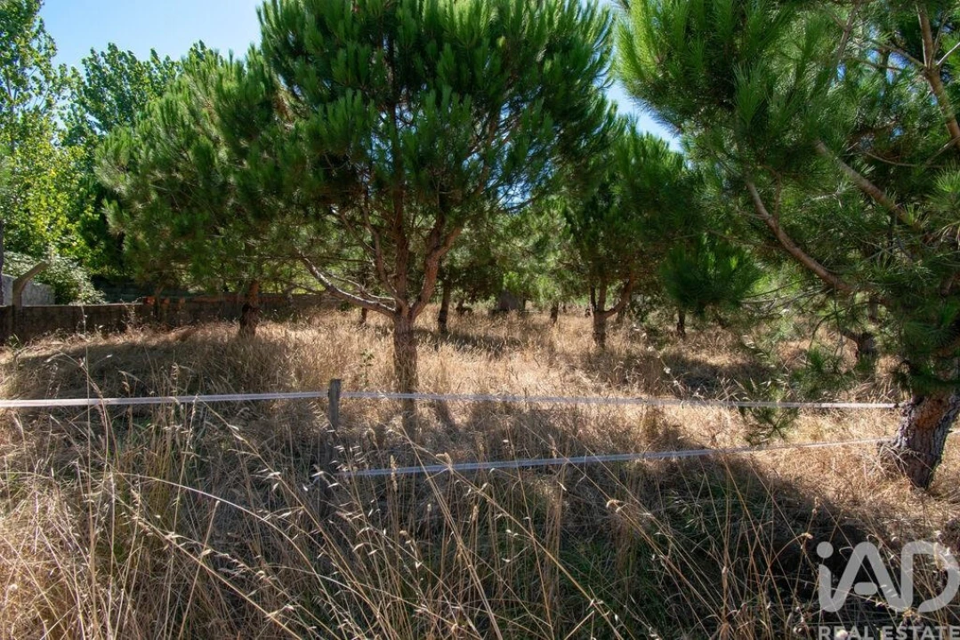 Terreno para Venda em Marinha Grande Foto 4