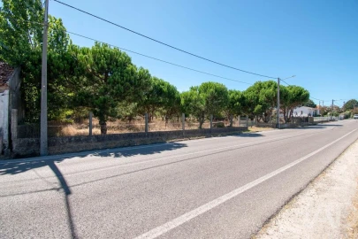 Terreno para Venda em Marinha Grande