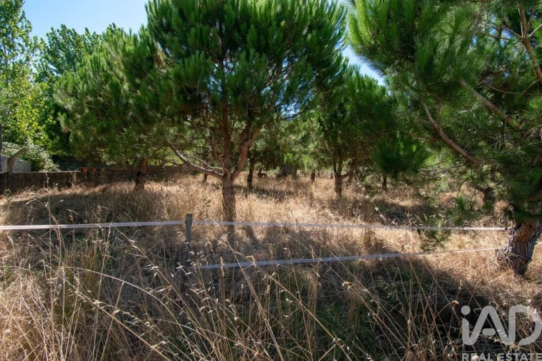 Terreno para Venda em Marinha Grande Foto 4