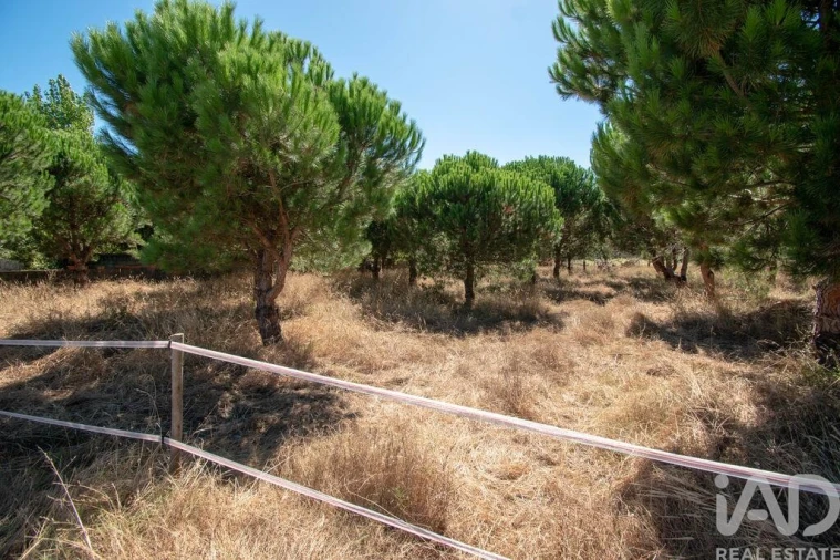Terreno para Venda em Marinha Grande Foto 5