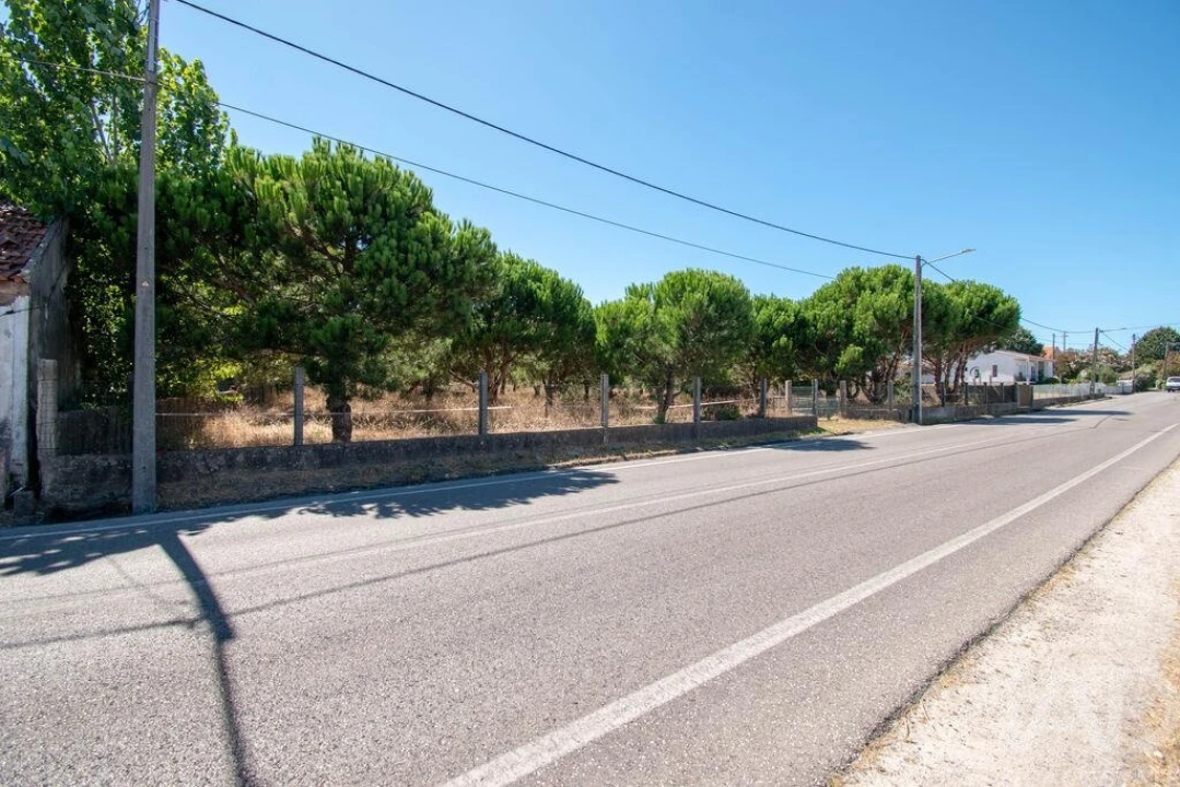 Terreno para Venda em Marinha Grande Foto 3