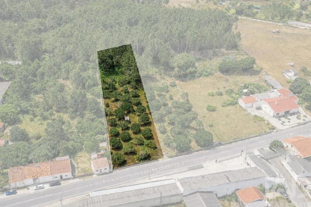 Terreno para Venda em Marinha Grande Foto 1
