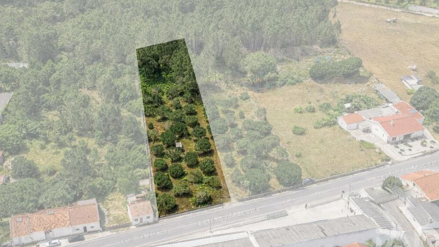 Terreno para Venda em Marinha Grande