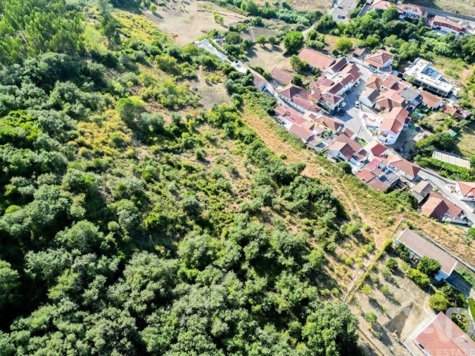 Terreno para Venda em Santo Quintino Foto 6