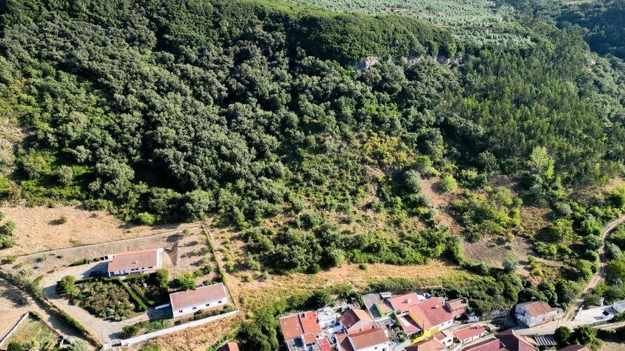 Terreno para Venda em Santo Quintino