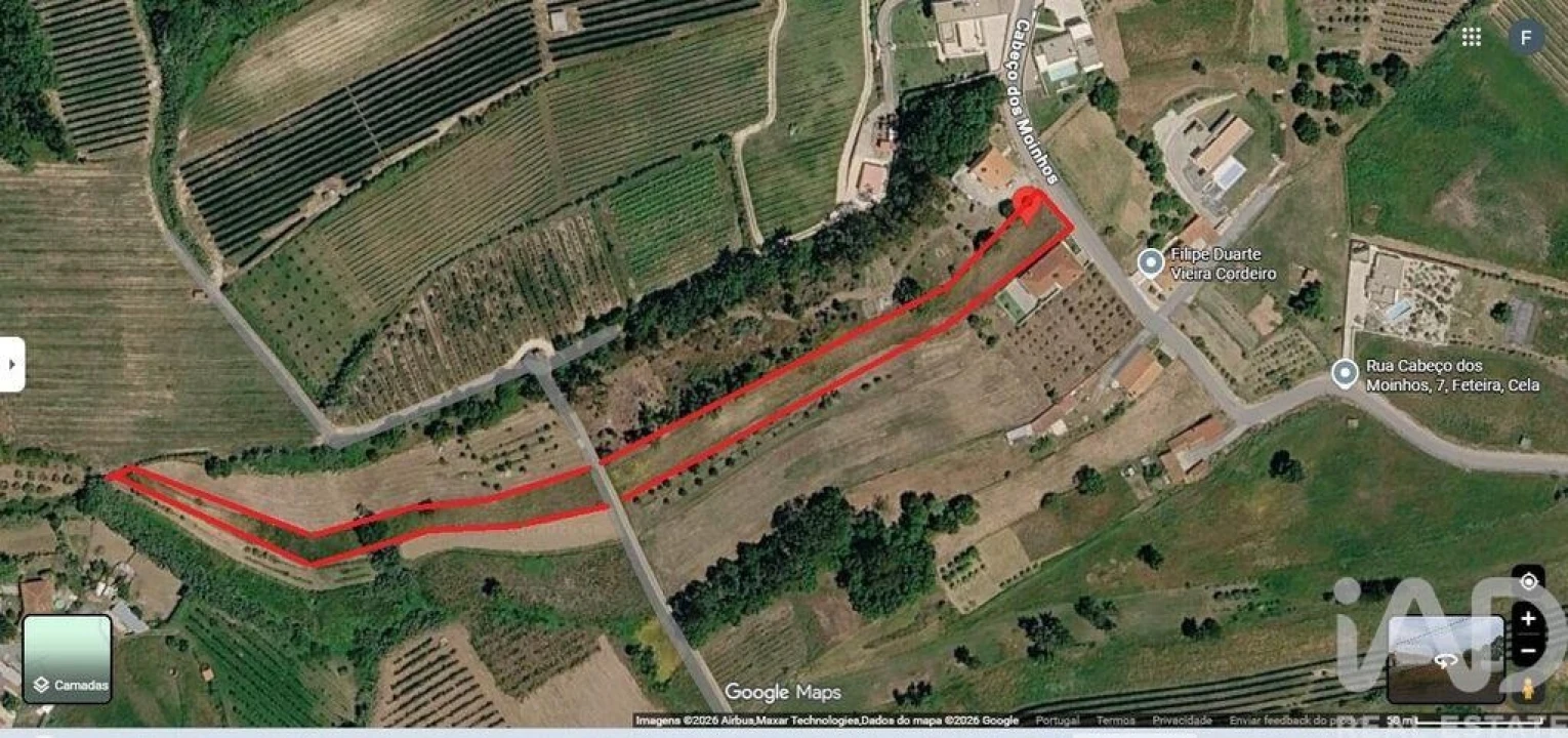 Terreno para Venda em Cela Foto 2