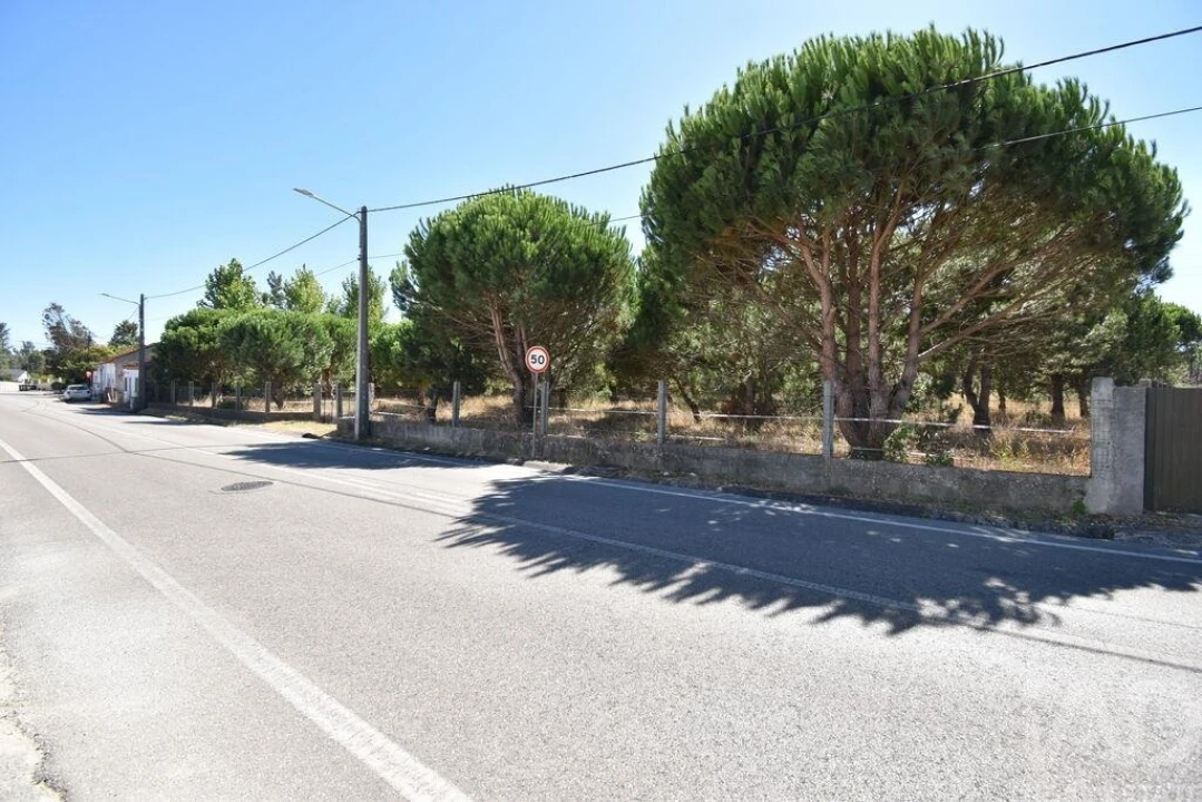 Terreno para Venda em Marinha Grande Foto 3