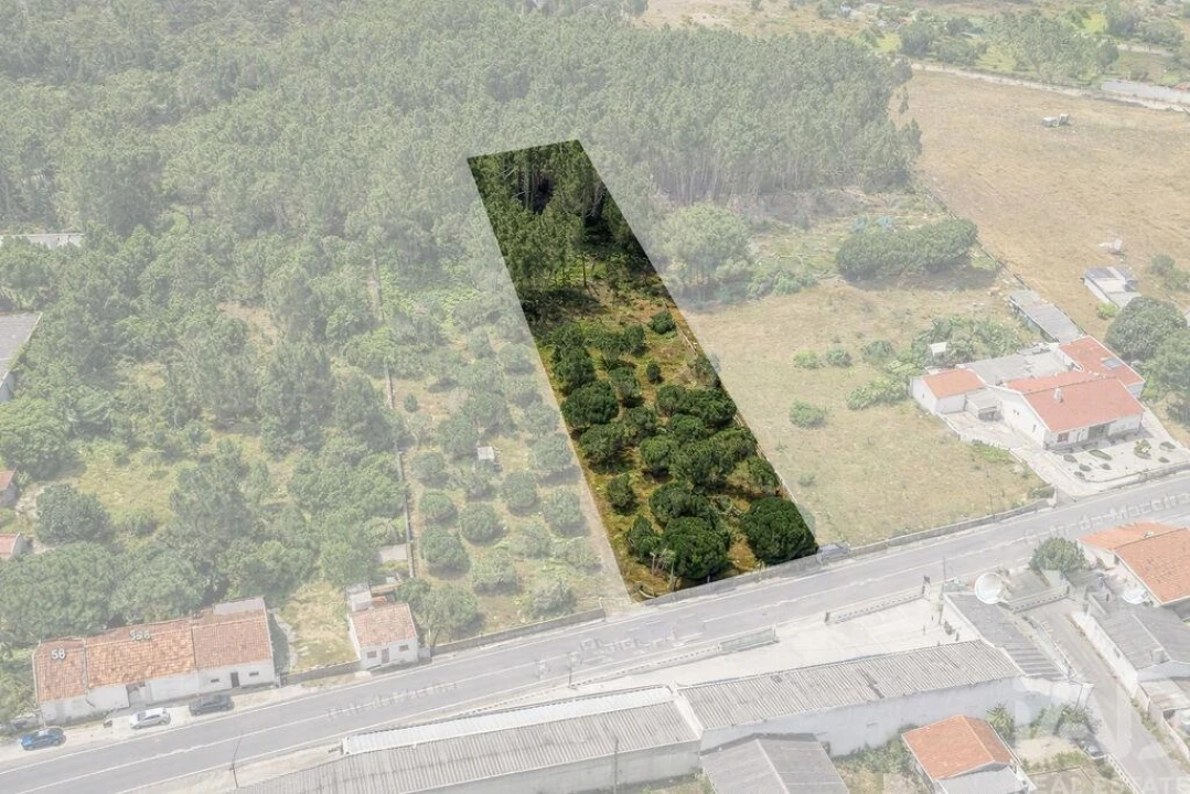 Terreno para Venda em Marinha Grande Foto 1
