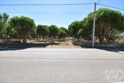 Terreno para Venda em Marinha Grande