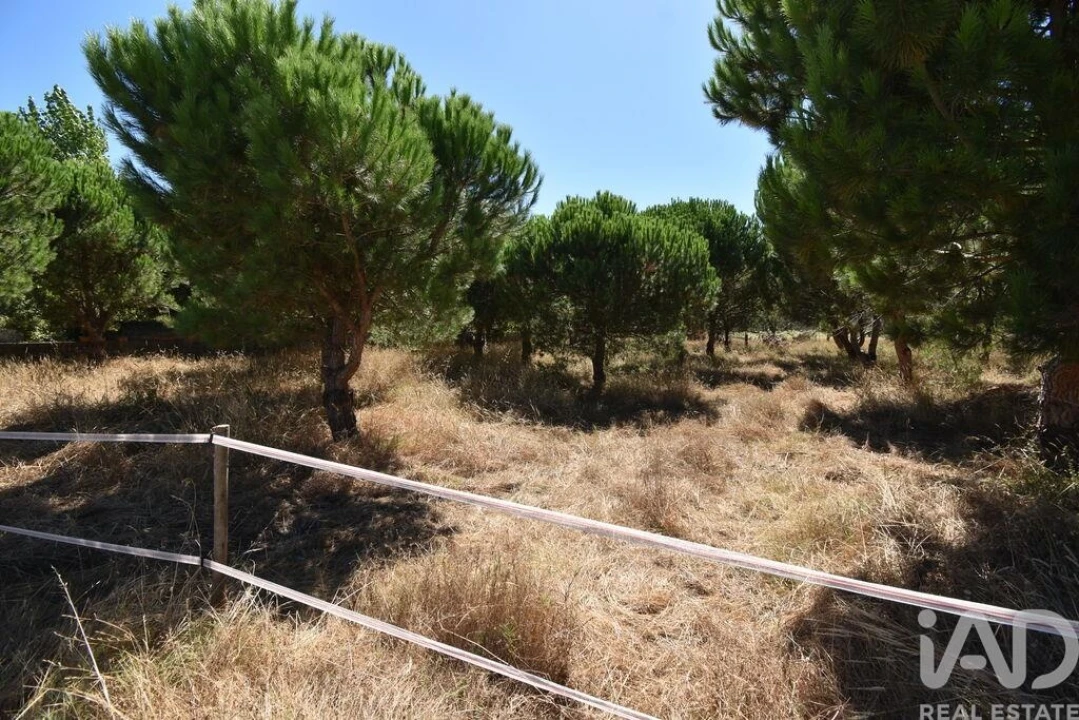 Terreno para Venda em Marinha Grande Foto 5