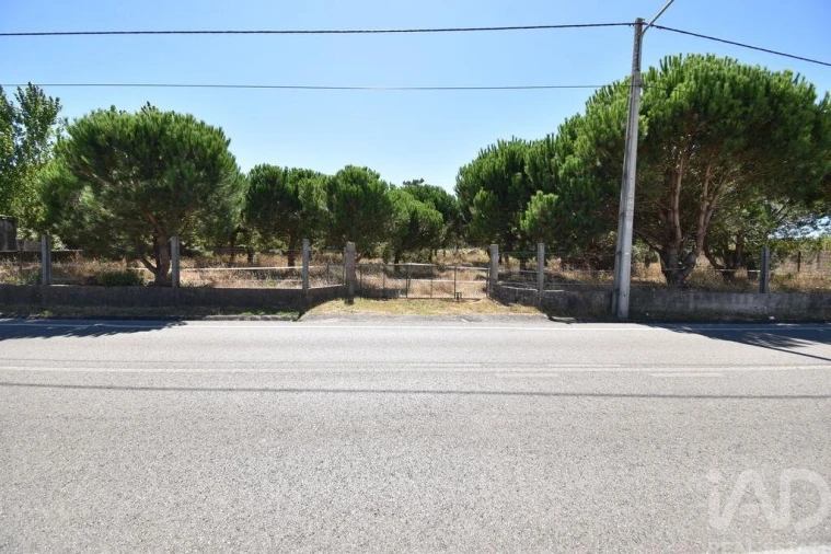 Terreno para Venda em Marinha Grande Foto 2