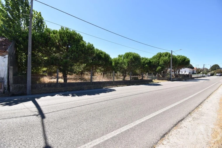 Terreno para Venda em Marinha Grande Foto 4