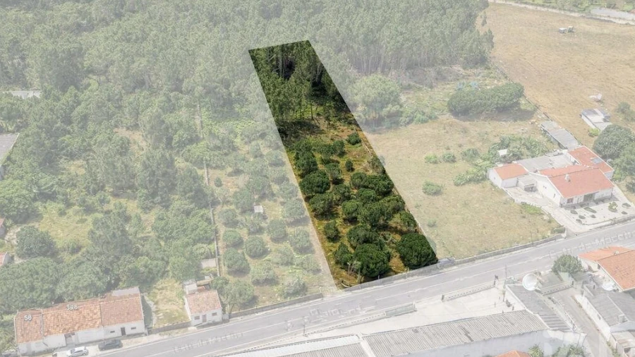 Terreno para Venda em Marinha Grande