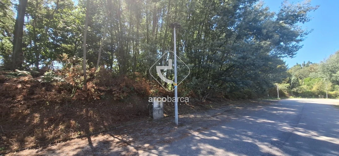 Terreno para Venda em Fornelos e Queijada Foto 5