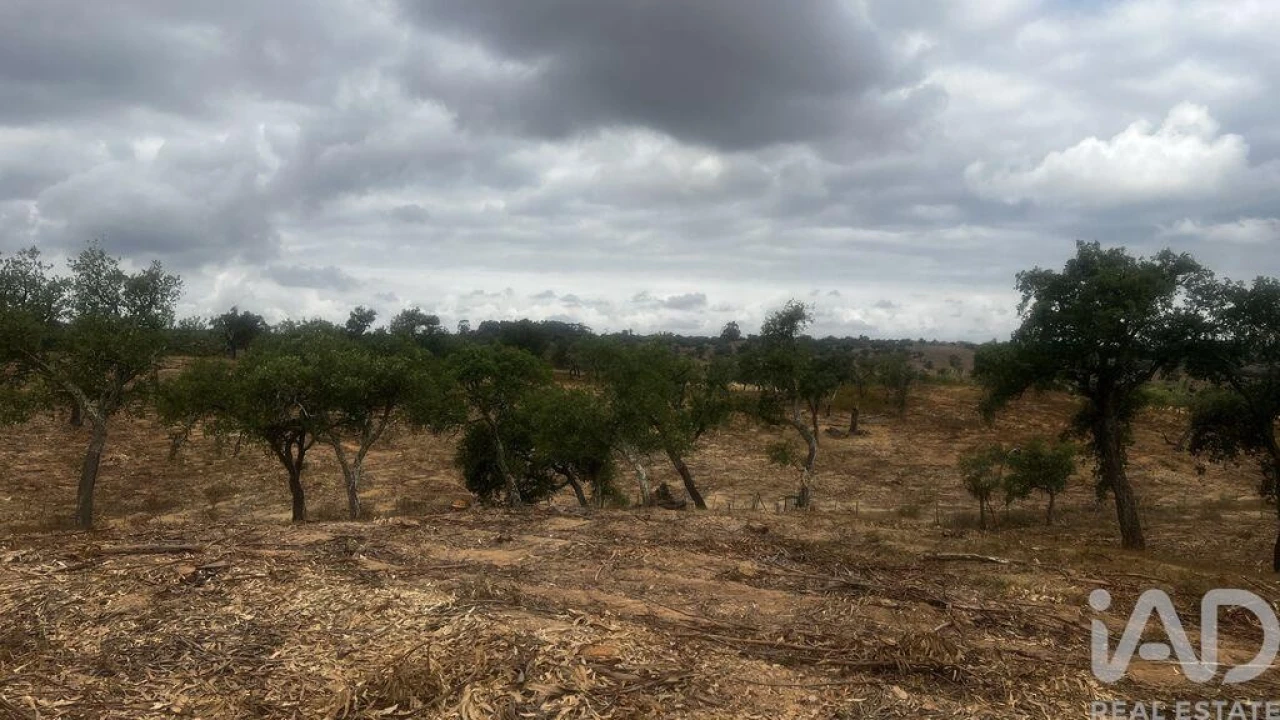 Terreno para Venda em Abela Foto 5
