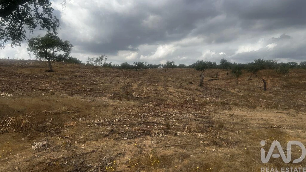 Terreno para Venda em Abela Foto 2