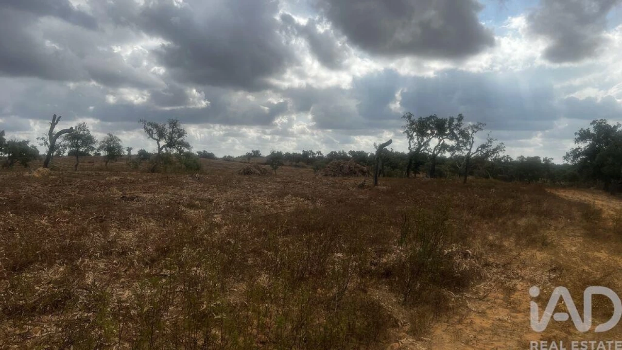 Terreno para Venda em Abela Foto 6