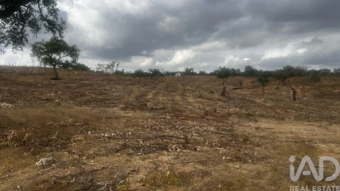 Terreno para Venda em Abela