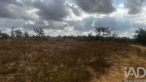 Terreno para Venda em Abela