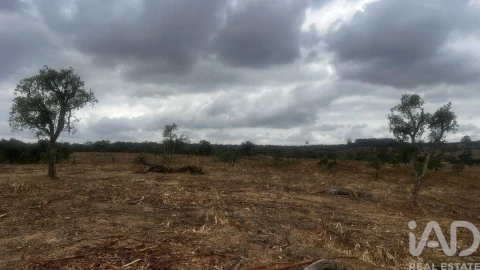Terreno para Venda em Abela