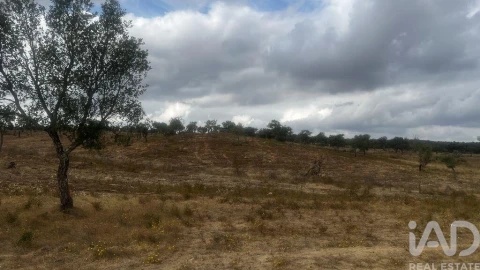 Terreno para Venda em Abela