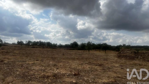 Terreno para Venda em Abela