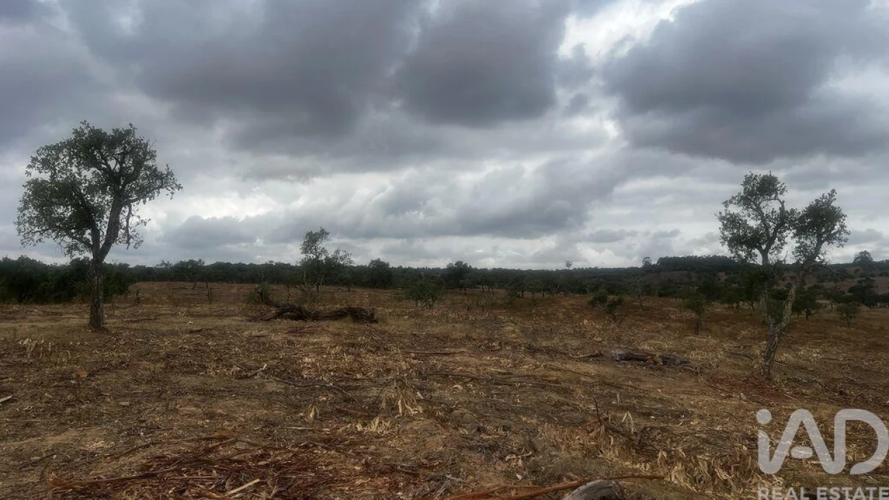 Terreno para Venda em Abela Foto 3