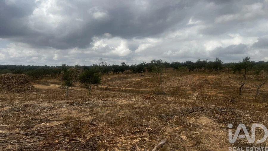 Terreno para Venda em Abela Foto 4