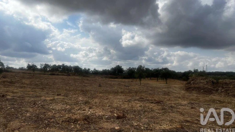 Terreno para Venda em Abela Foto 7