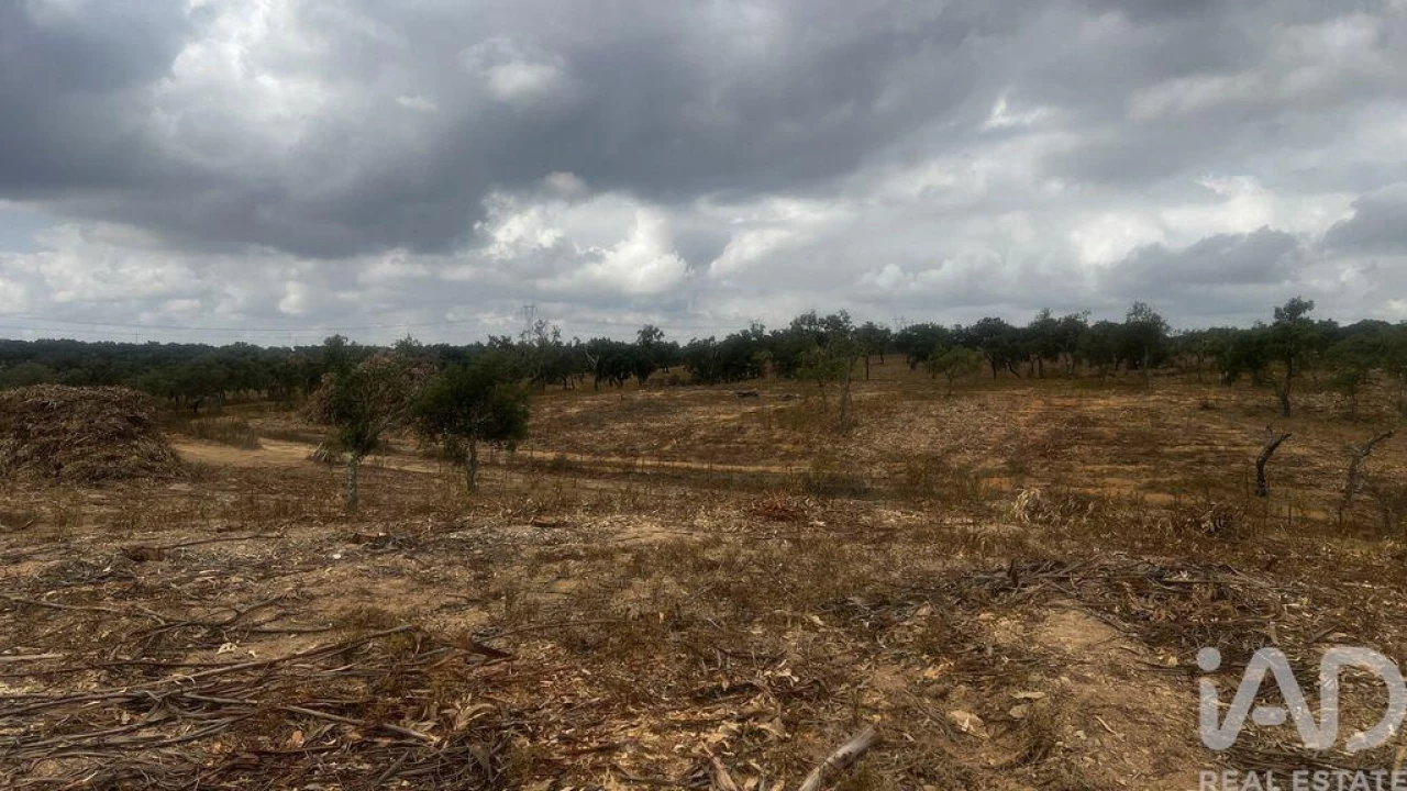Terreno para Venda em Abela Foto 4