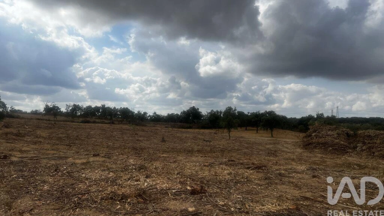 Terreno para Venda em Abela Foto 7